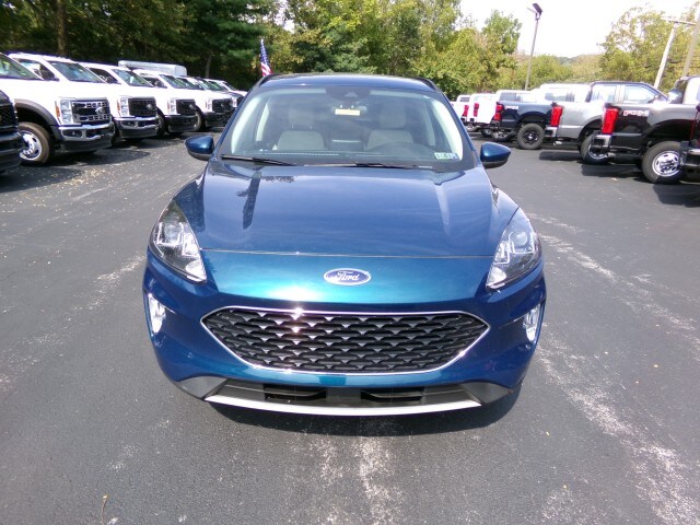 2020 Ford Escape SEL photo 3