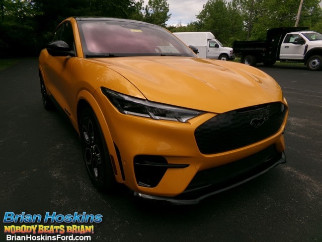 2021 Ford Mustang-Mach-e GT's photo