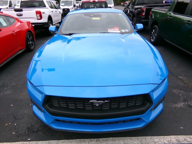 2025 Ford Mustang EcoBoost photo 3