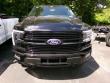 2026 Ford F-150 Platinum CrewCab 4x4 Truck SuperCrew Cab