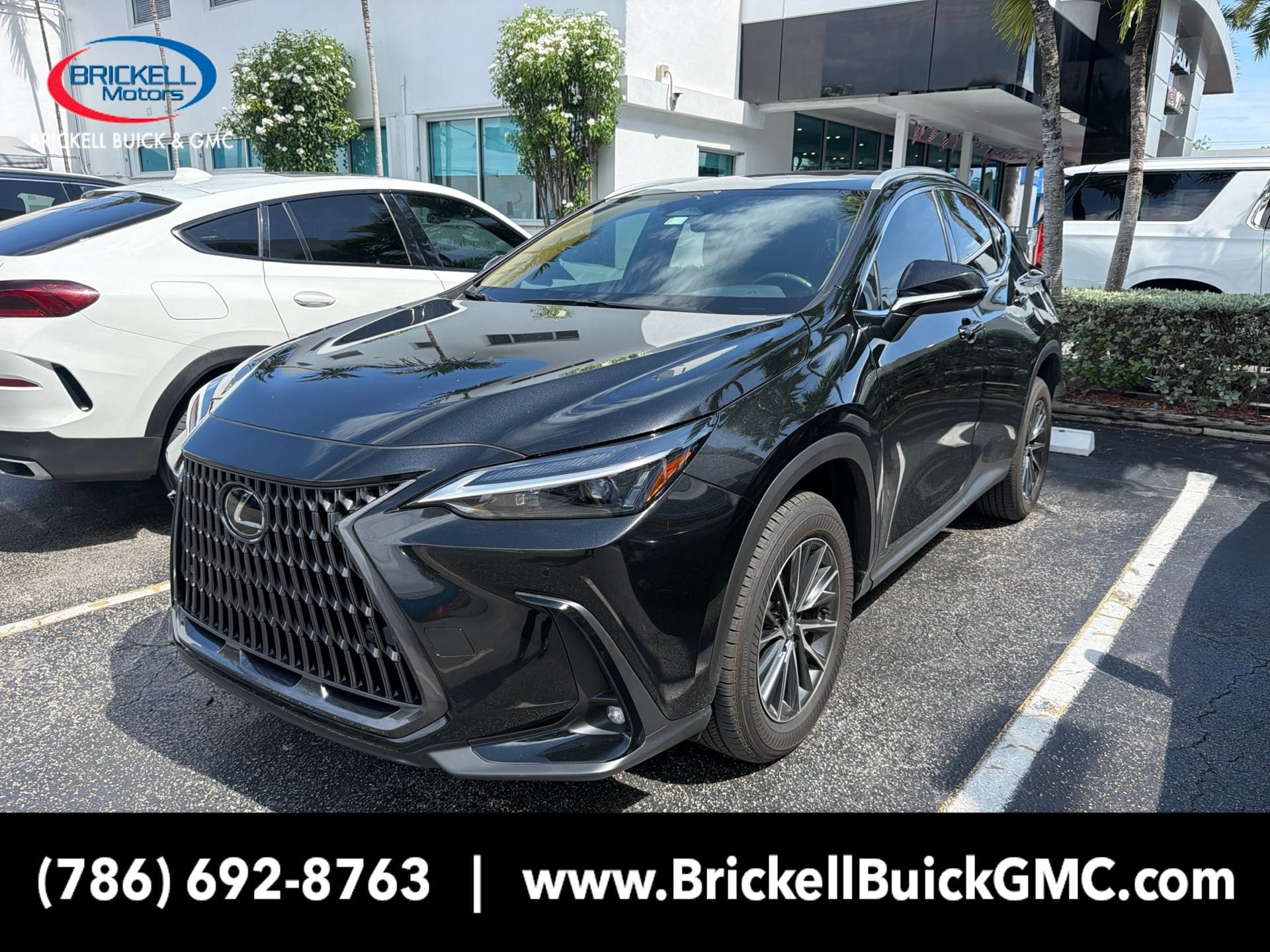 2026 Lexus NX