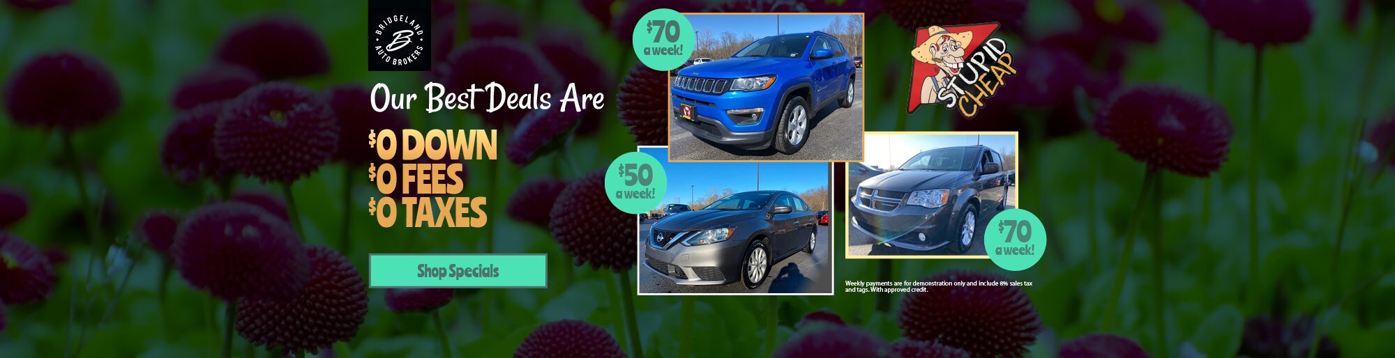 Bridgeland Auto Brokers Used Car Dealer & Service Center in Bridgeport NY