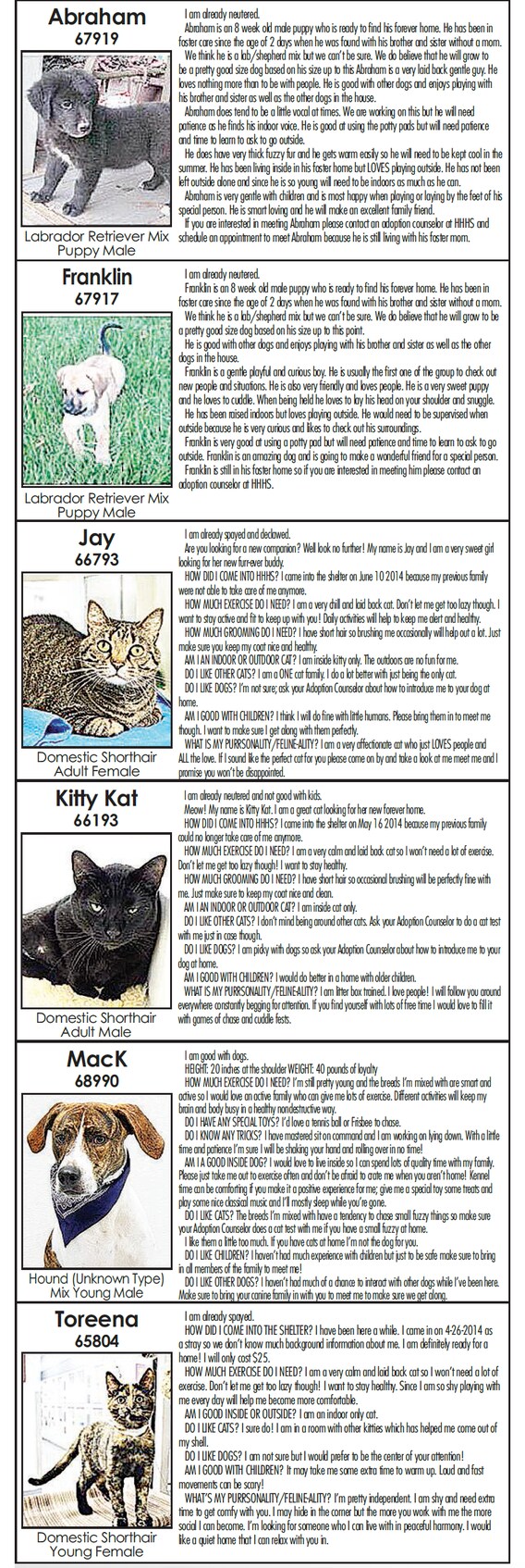 Adopt a Pet in Topeka | Helping Hands Humane Society Adoption Page Adopt a Pet in Topeka | Helping Hands Humane Society Adoption Page