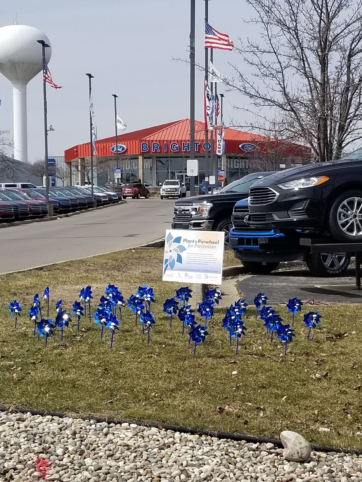 Pinwheel Garden Brighton Ford