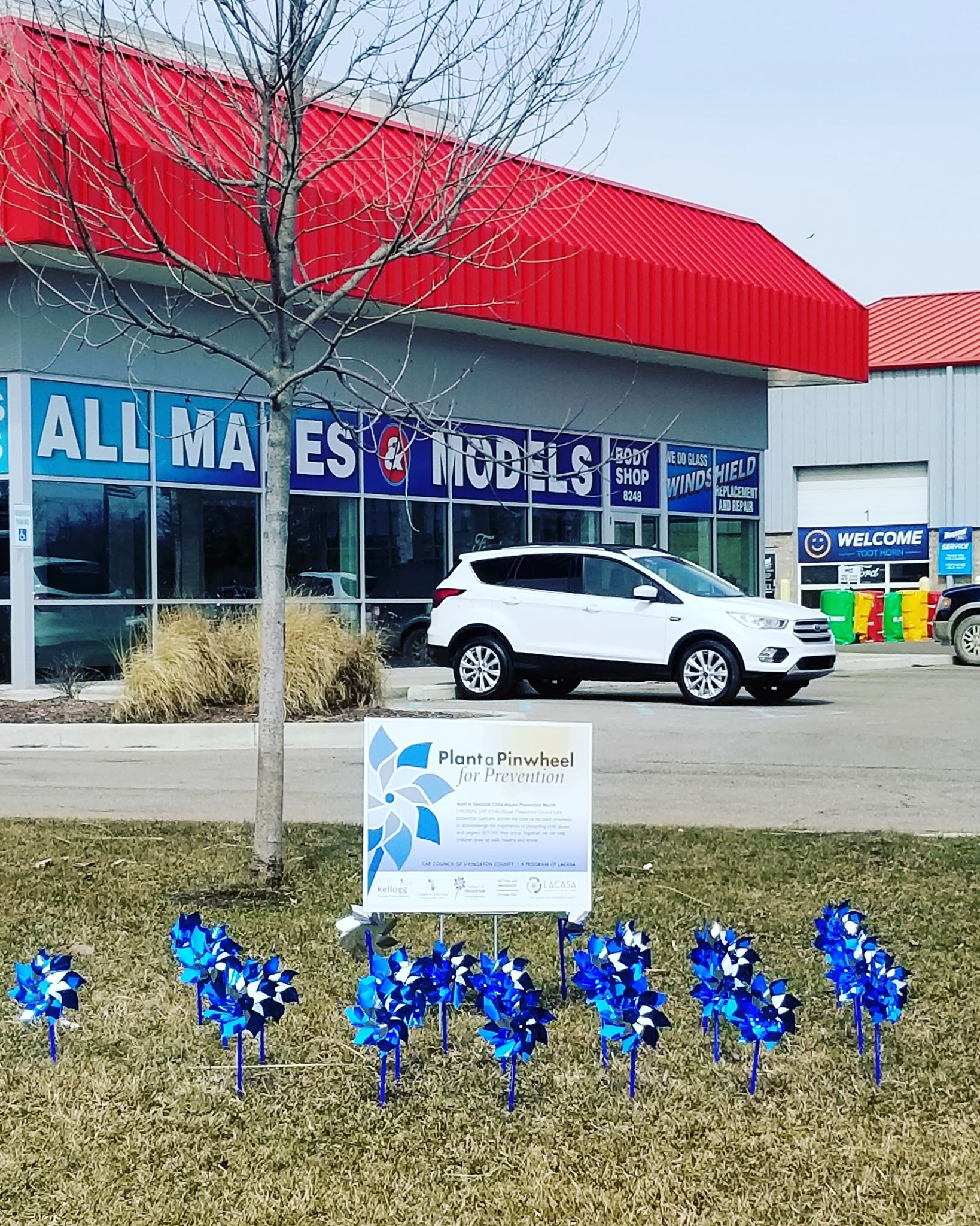 Ford of Brighton Pinwheel Garden