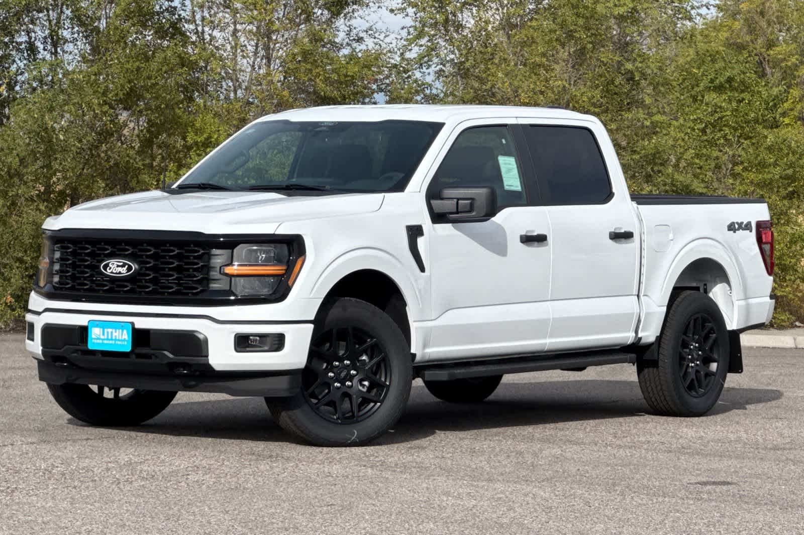 2025 Ford F-150 STX's photo