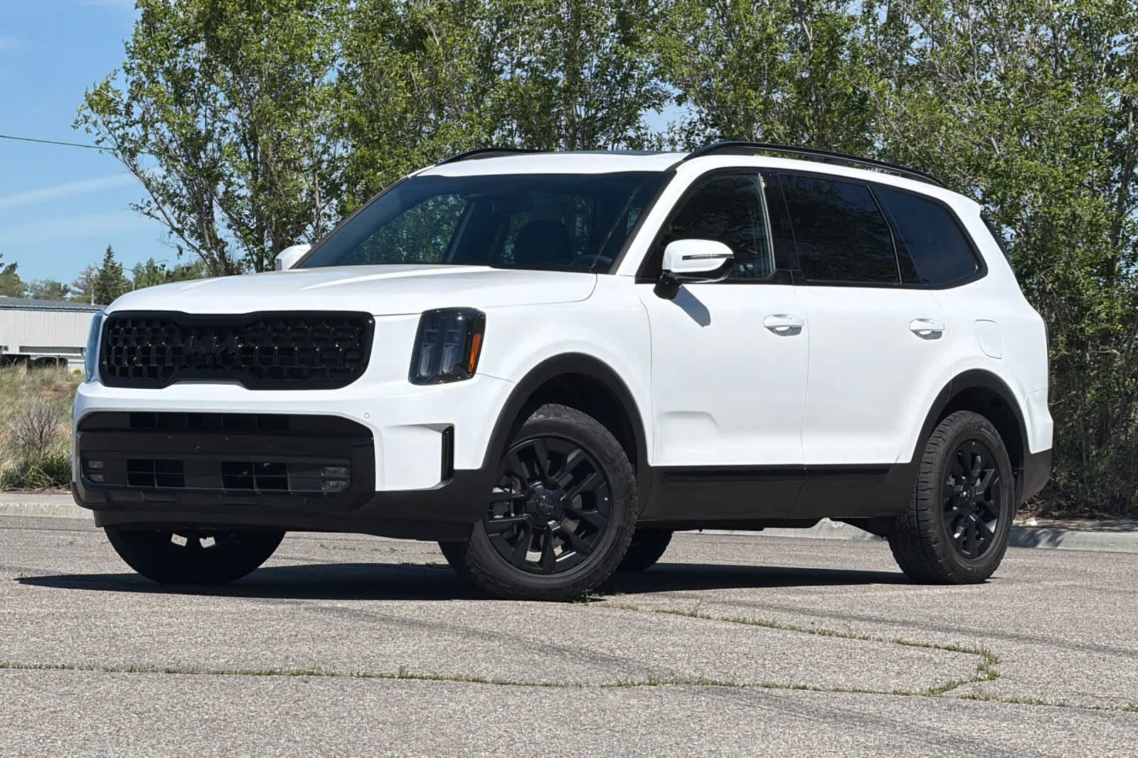 2025 Kia Telluride SX Prestige X-Pro AWD's photo