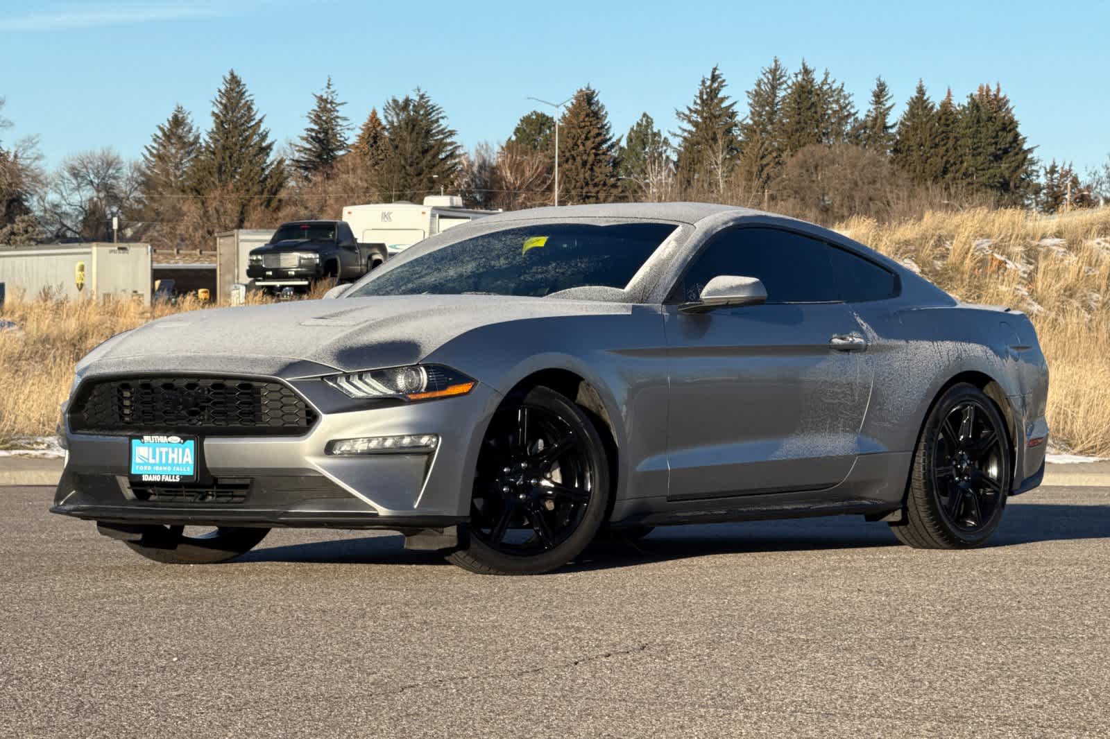 2020 Ford Mustang EcoBoost's photo