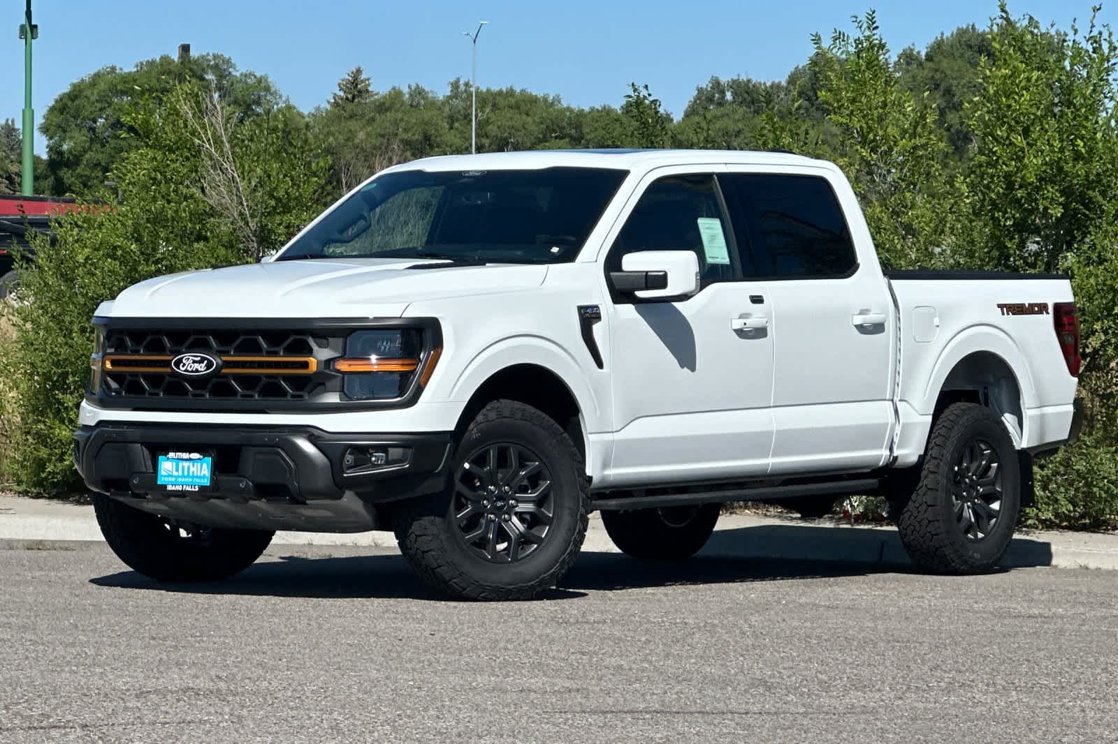 Thumbnail: 2025 Ford F-150 - 1