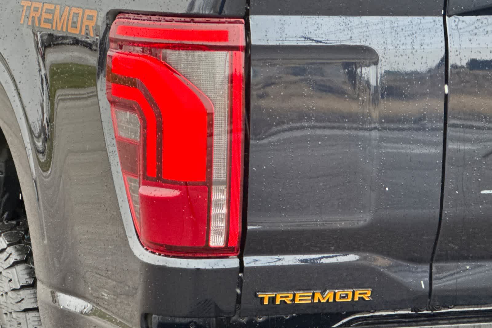 Thumbnail: 2025 Ford F-150 - 27