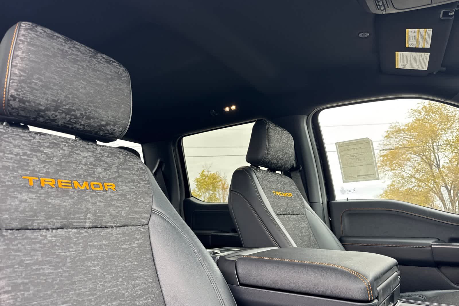 Thumbnail: 2025 Ford F-150 - 16