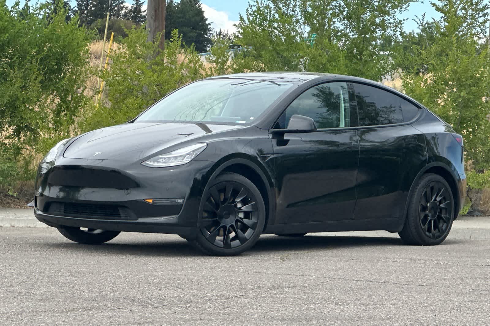 Thumbnail: 2021 Tesla Model Y - 1