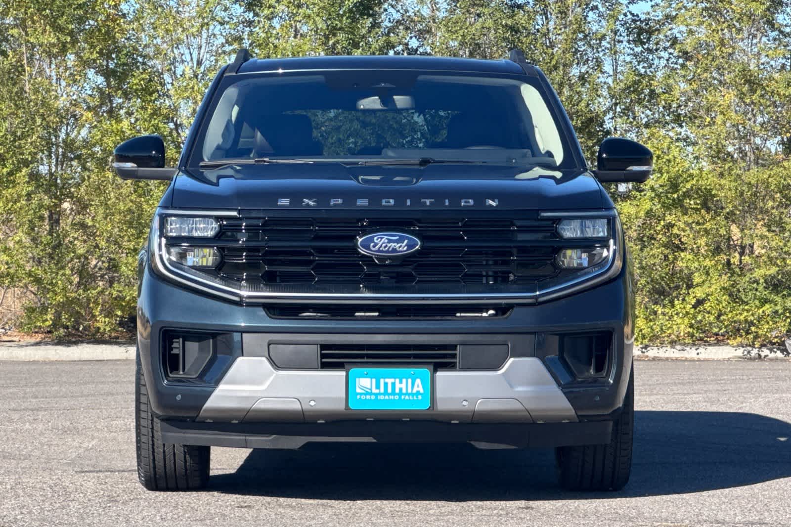 Thumbnail: 2025 Ford Expedition - 10