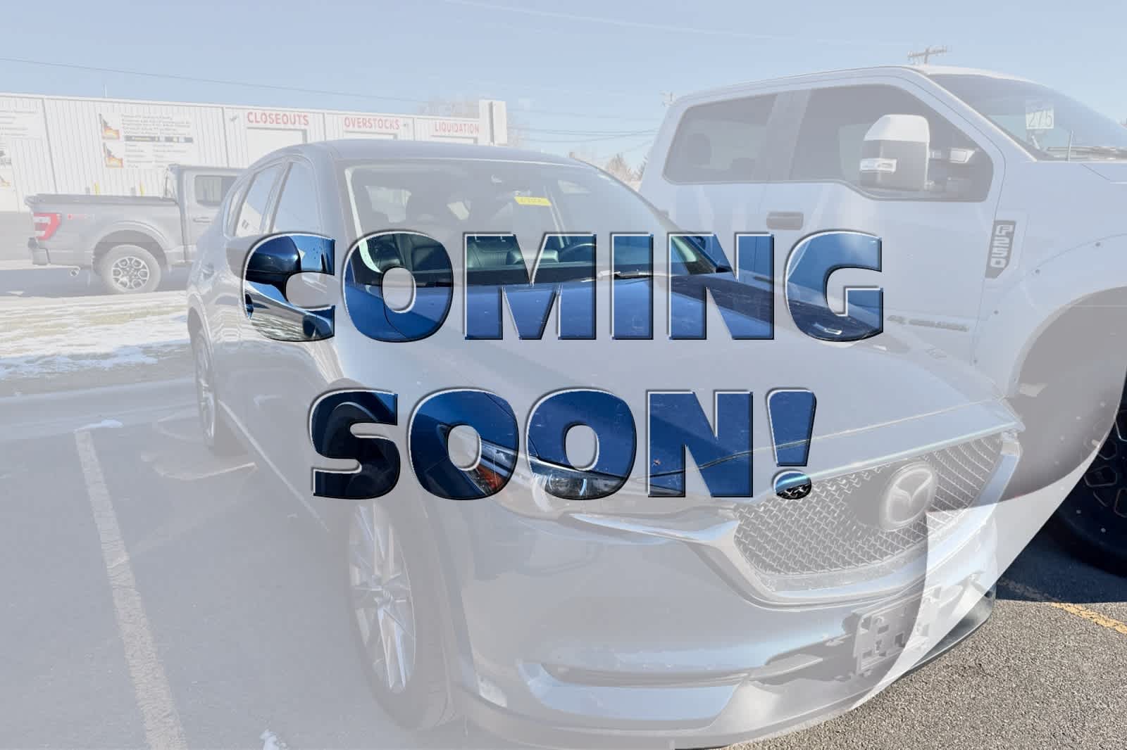 2021 Ford F-150 Platinum's photo