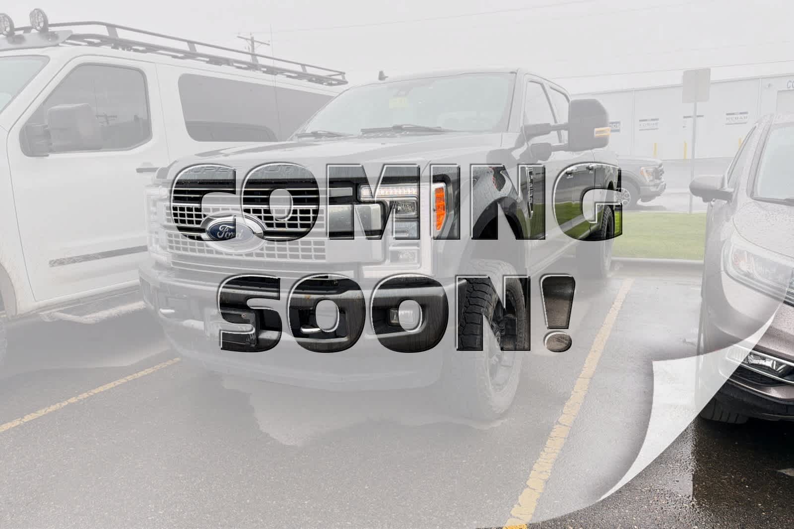 2019 Ford F-250 Platinum 4x4 Crew Cab 8' Box's photo