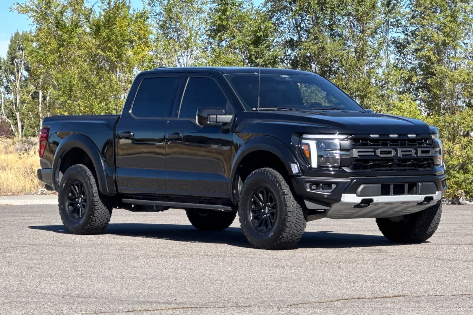 Thumbnail: 2025 Ford F-150 - 9