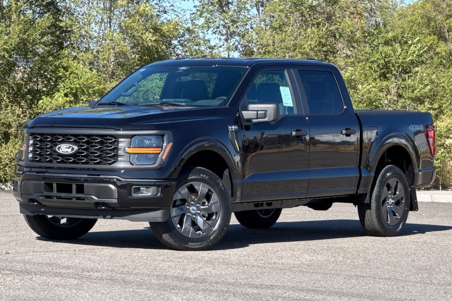 2025 Ford F-150 STX's photo