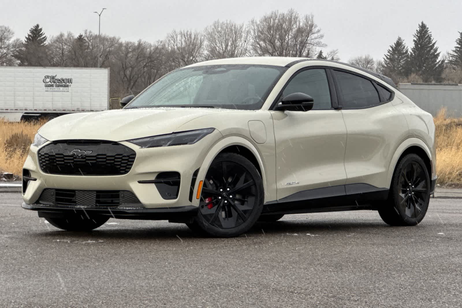 Thumbnail: 2025 Ford Mustang Mach-E - 1