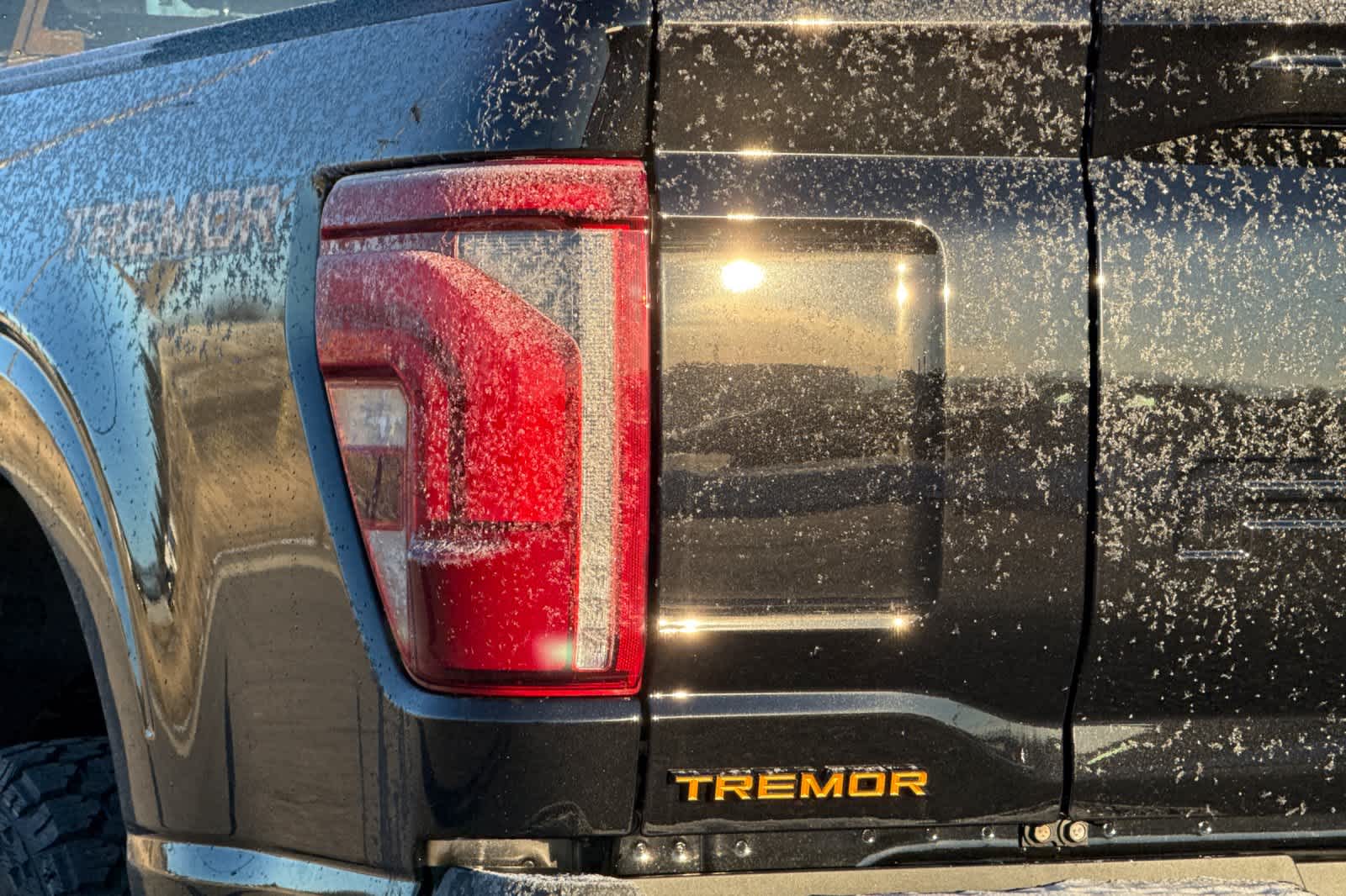 Thumbnail: 2025 Ford F-150 - 27