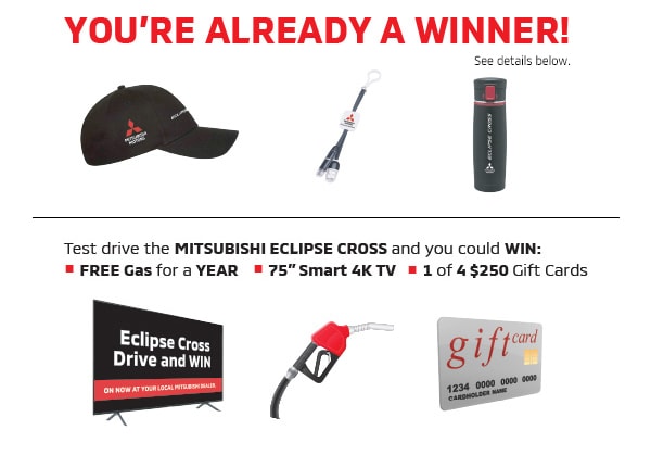 eclipse prizes.jpg