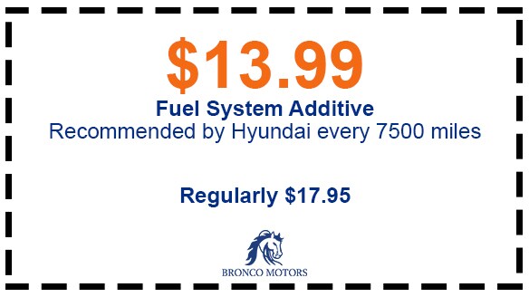 FUEL SYSTEM COUPON.jpg