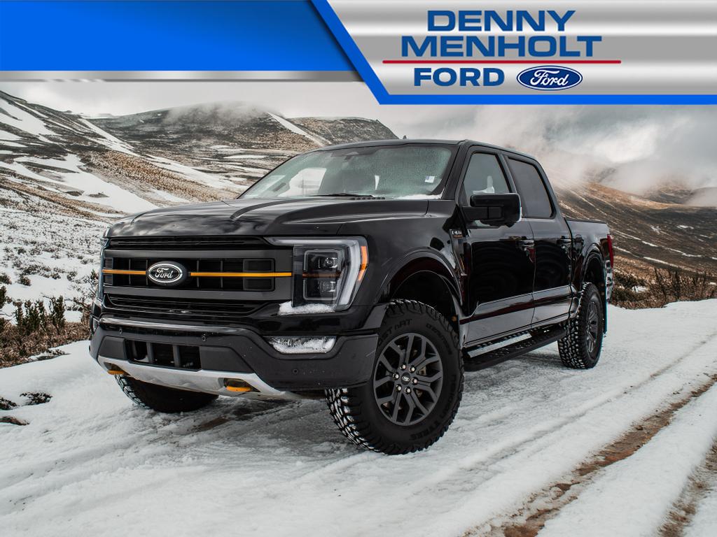 2023 Ford F-150 Tremor's photo