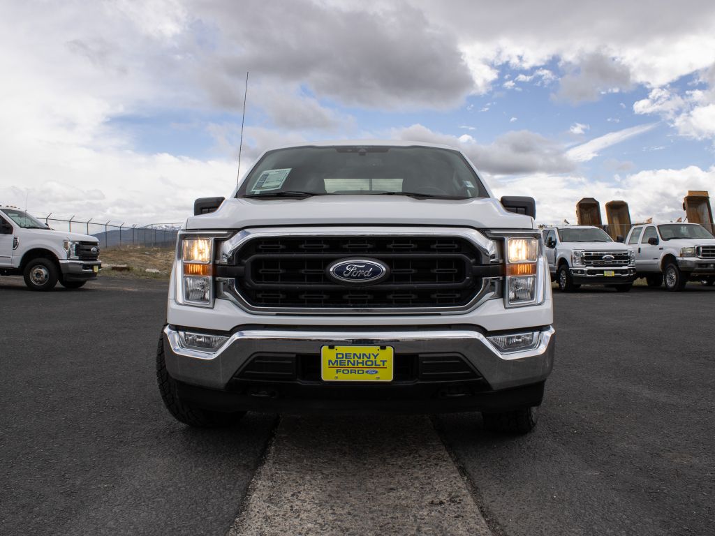 Used 2021 Ford F-150 XLT with VIN 1FTFW1E81MFA62085 for sale in Butte, MT