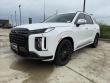 New 2025 Hyundai Palisade Calligraphy Night Edition AWD SUV