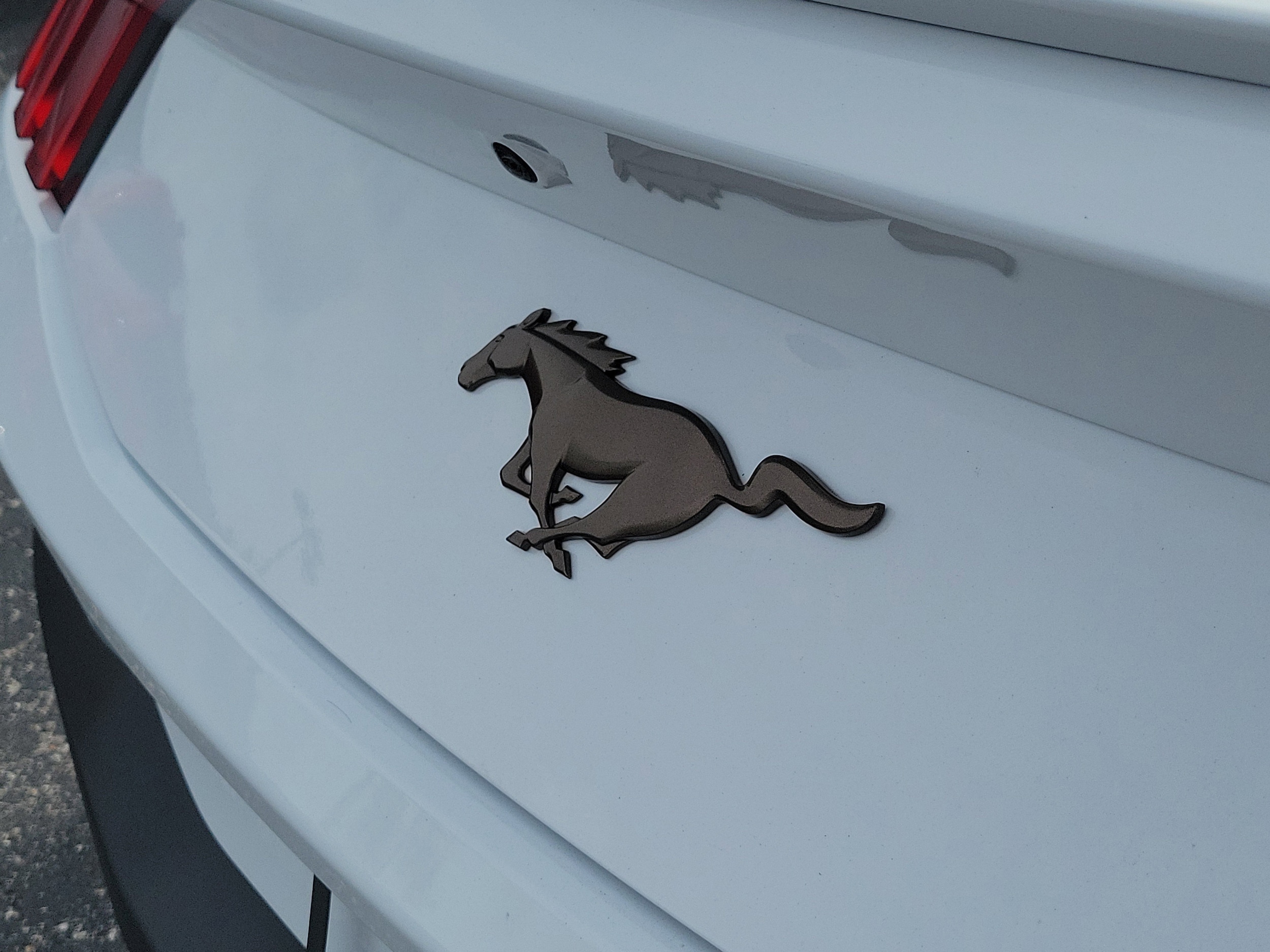 2026 Ford Mustang EcoBoost Premium Fastback - Photo 7