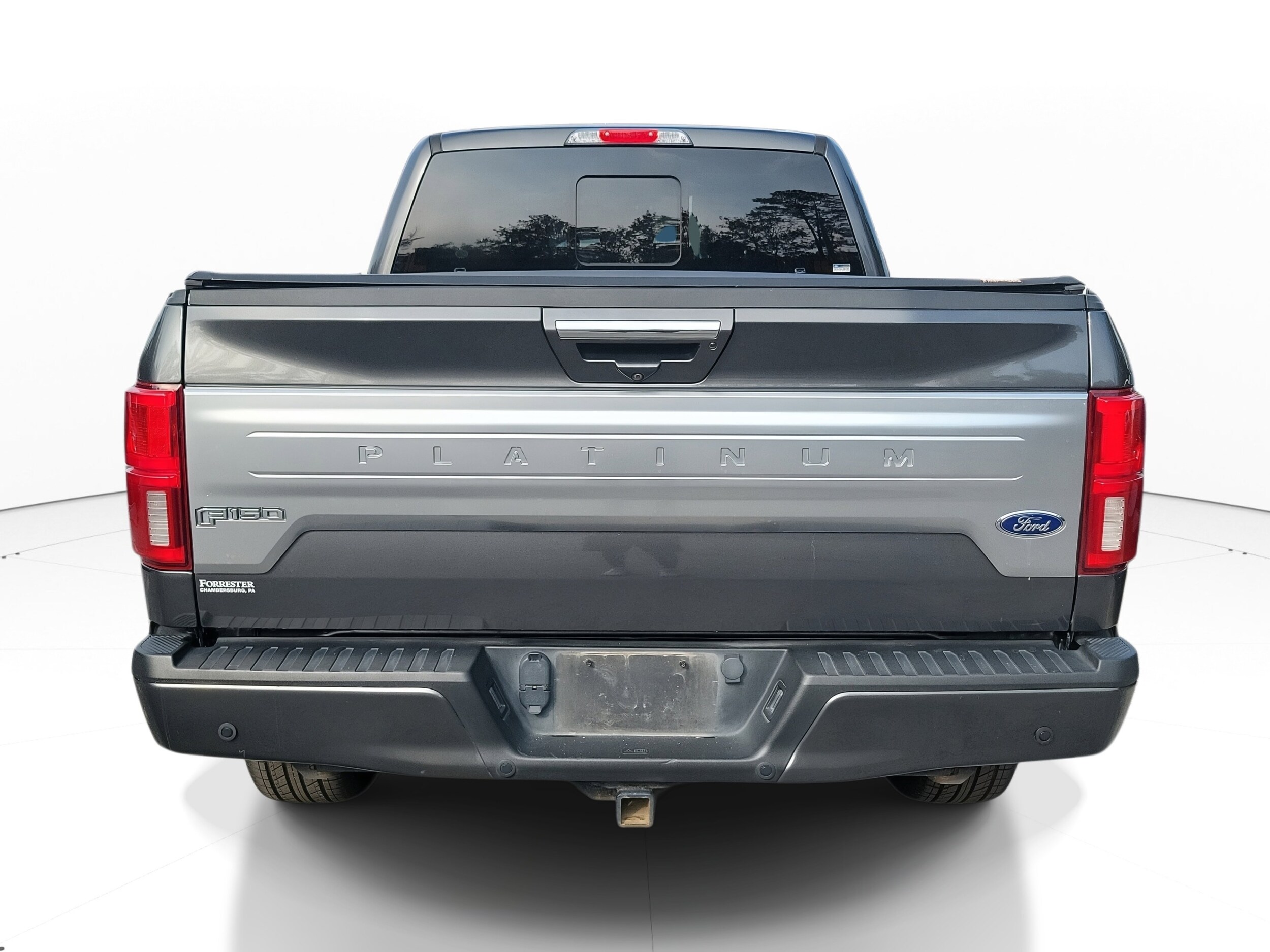 2019 Ford F-150 Platinum photo 4