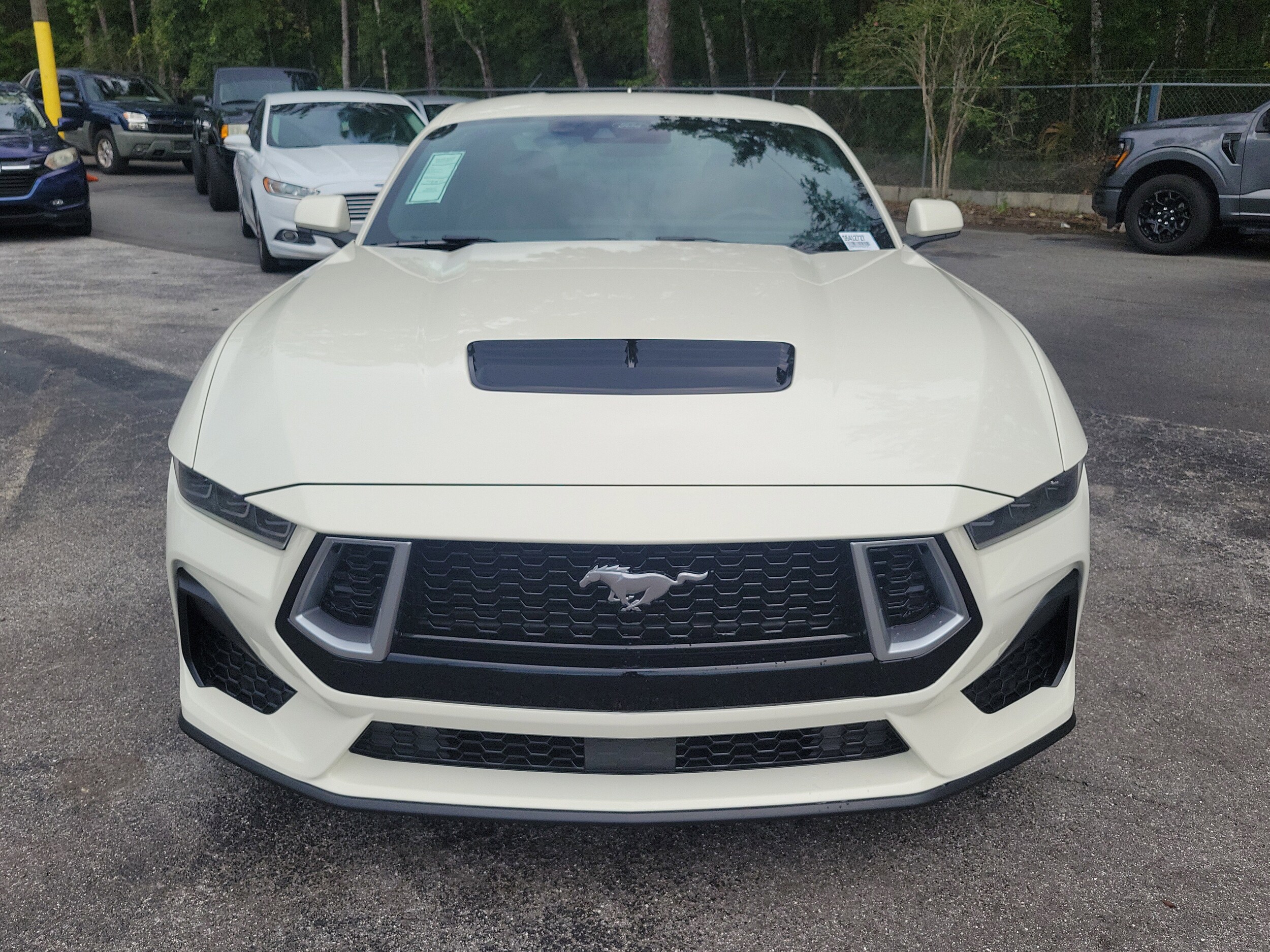 2025 Ford Mustang GT Premium photo 2