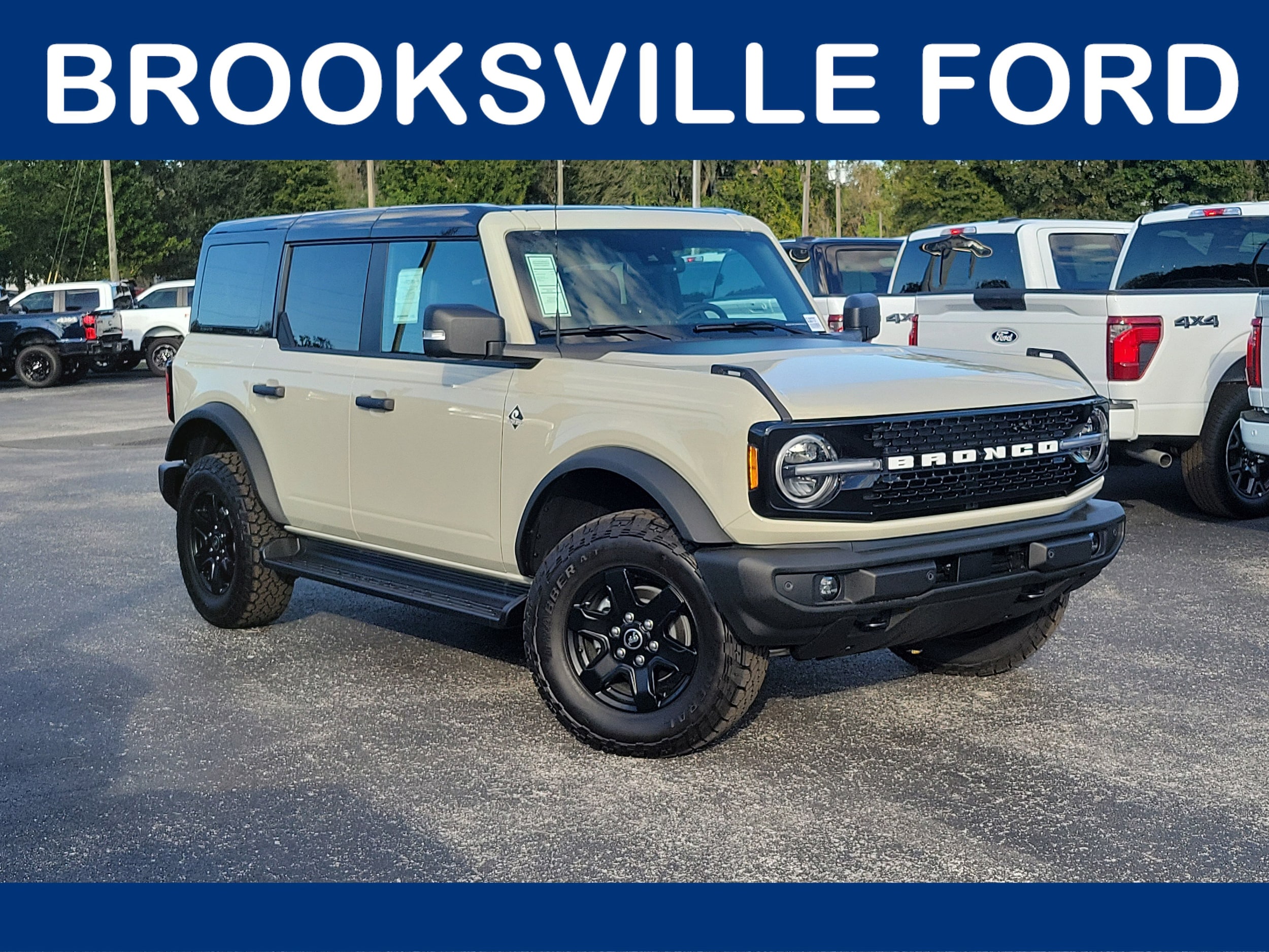 2025 Ford Bronco 4-Door Outer Banks's photo