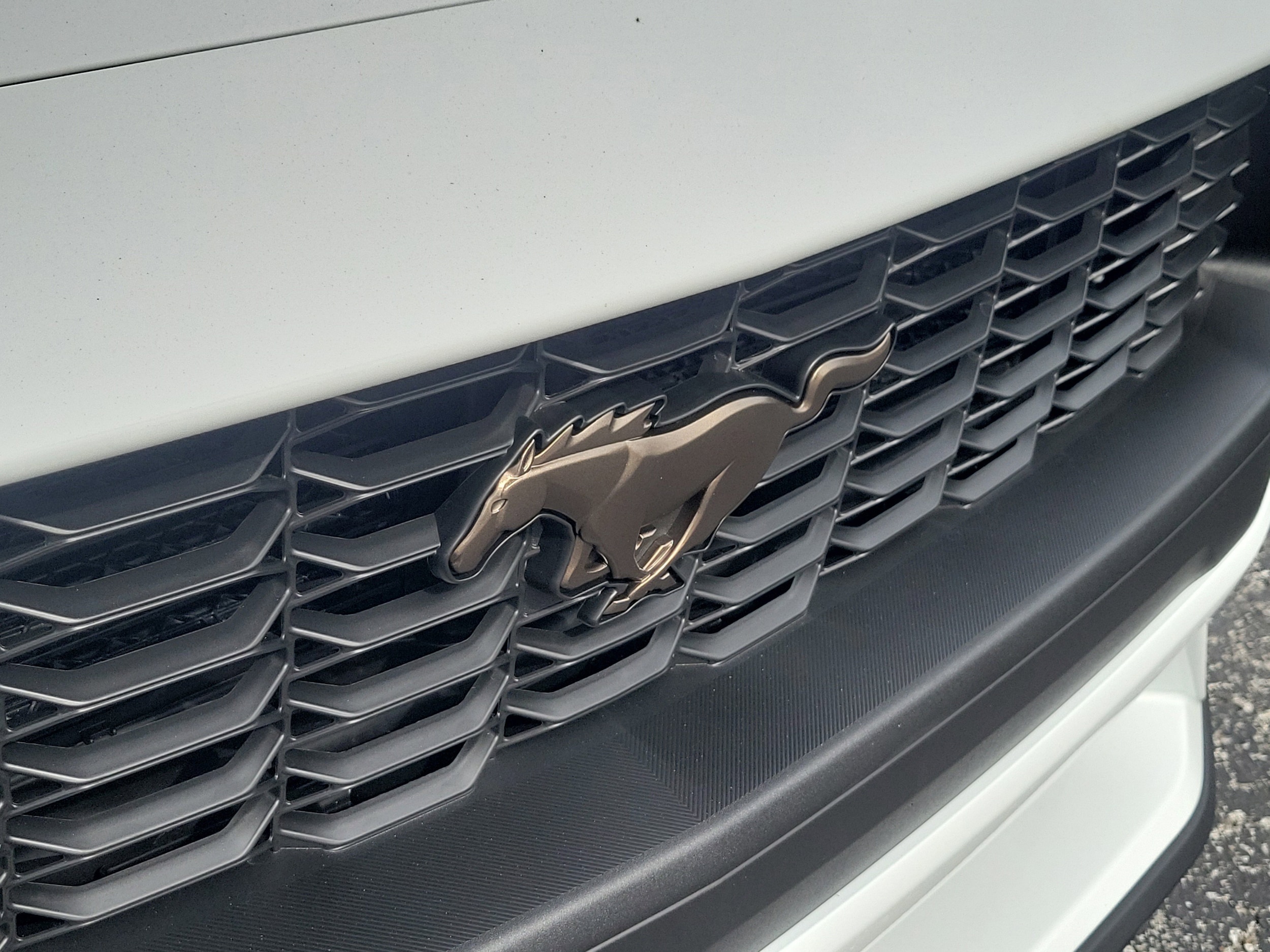 2026 Ford Mustang EcoBoost Premium Fastback - Photo 9