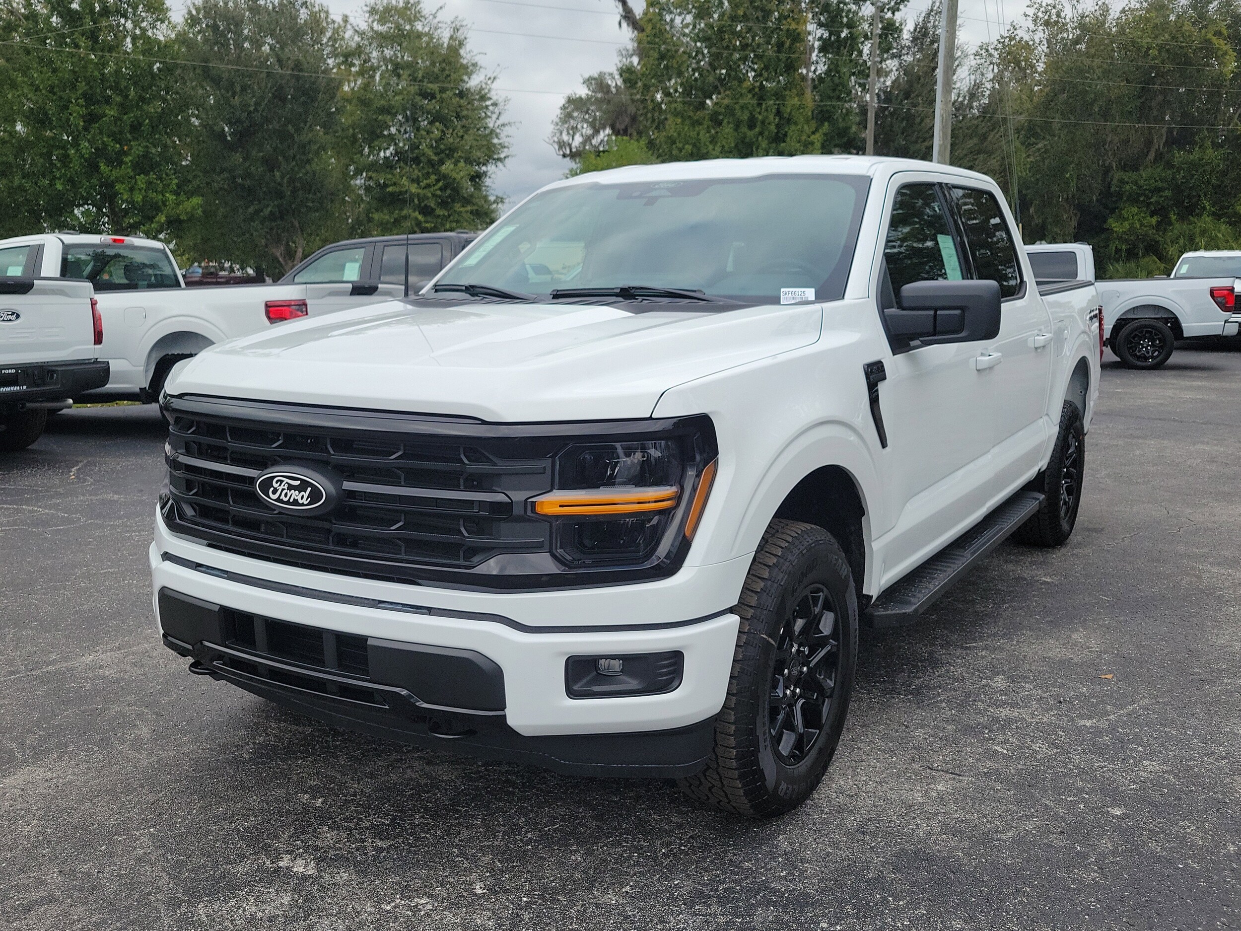 2025 Ford F-150 XLT photo 3