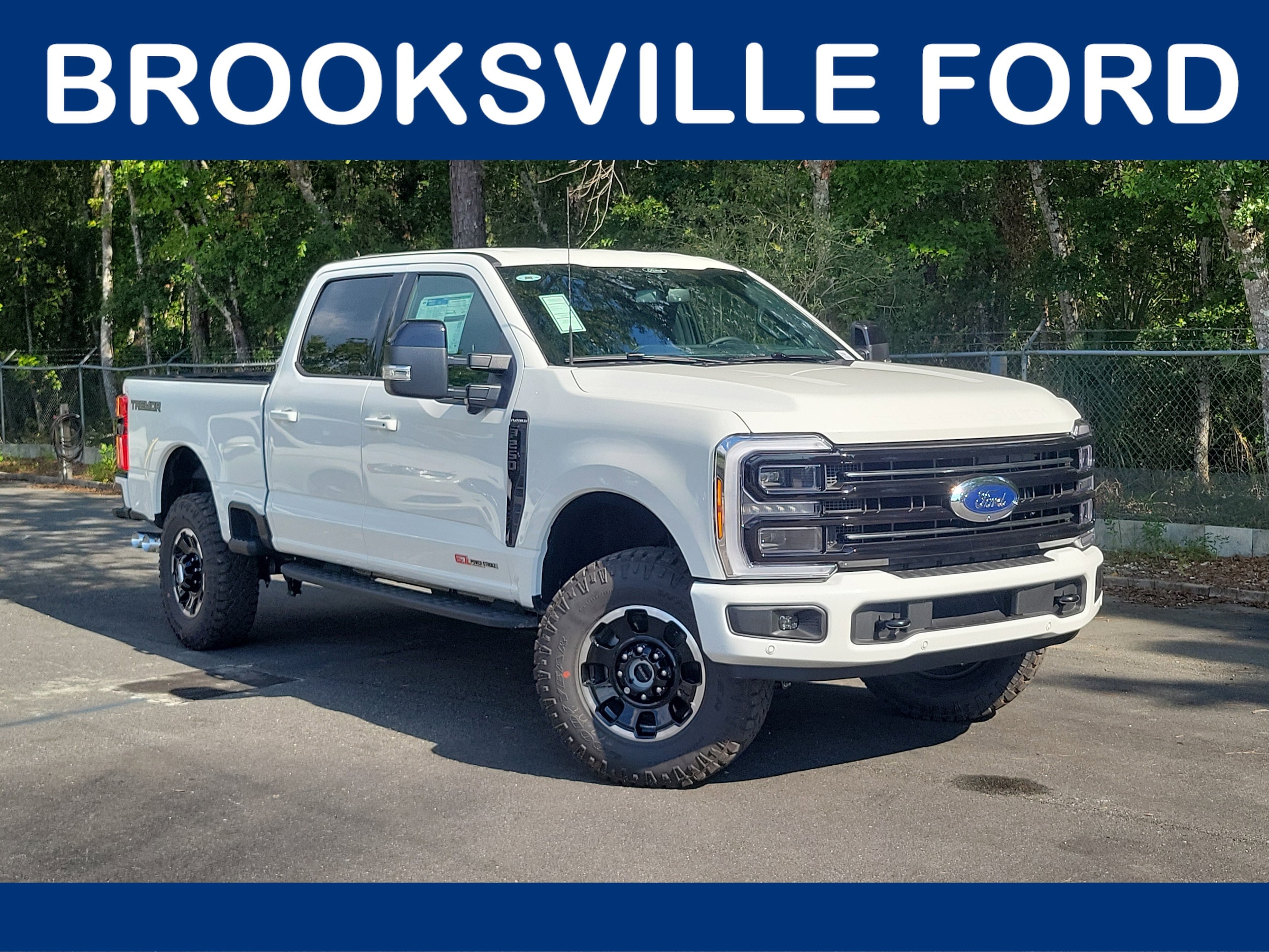 2025 Ford F-250 Truck Crew Cab 