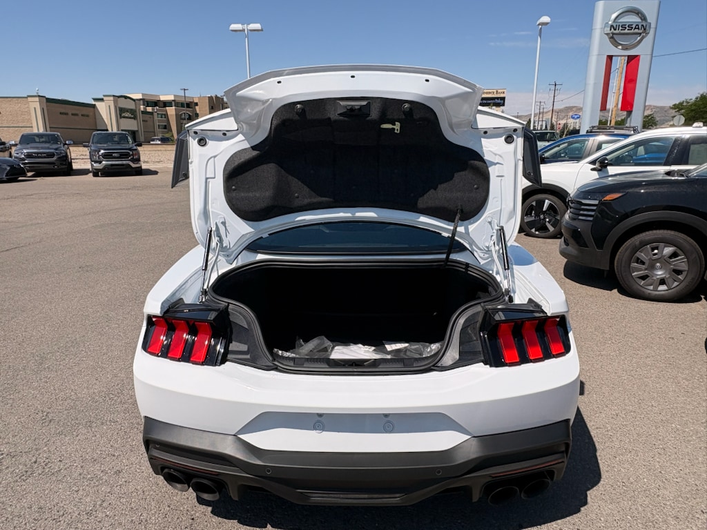 2024 Ford Mustang Dark Horse - Photo 10