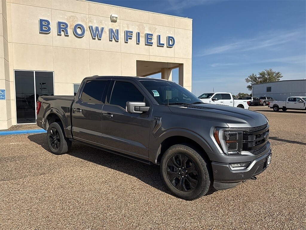 2023 Ford F-150 Platinum photo 3