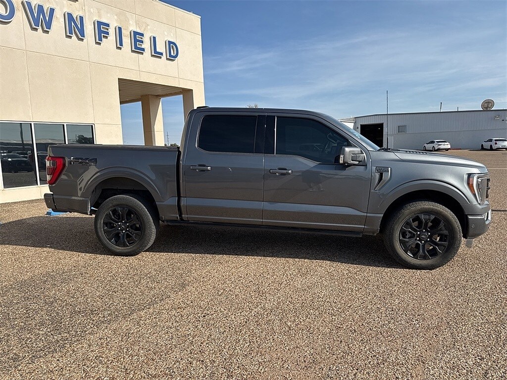 2023 Ford F-150 Platinum photo 4