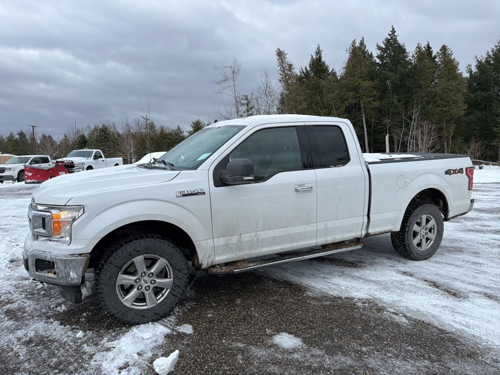 Used 2019 Ford F-150 XLT Truck