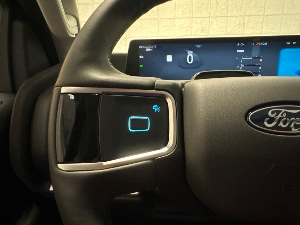 2025 Ford Expedition Active - Photo 34