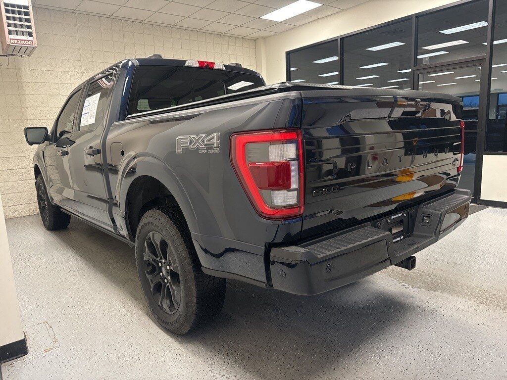 2022 Ford F-150 Platinum photo 2