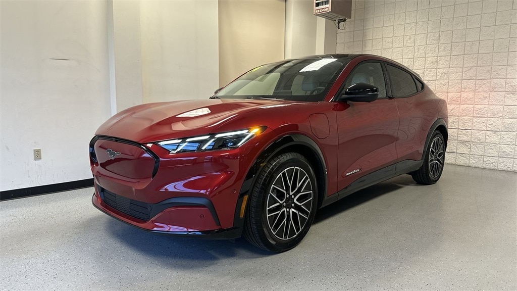 Certified 2024 Ford Mustang Mach-E Premium AWD with VIN 3FMTK3SU7RMA15609 for sale in Petoskey, MI