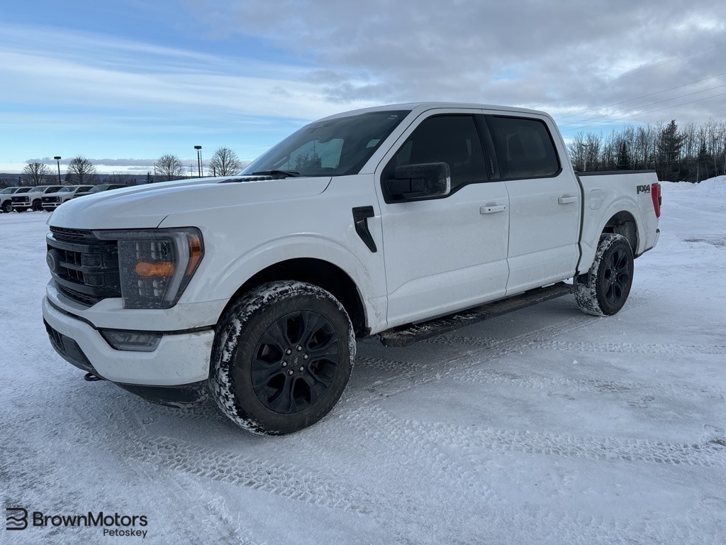 2023 Ford F-150 XLT's photo