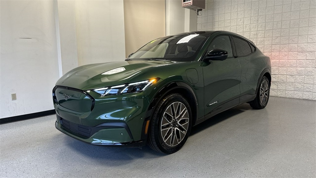 Certified 2024 Ford Mustang Mach-E Premium AWD with VIN 3FMTK3SU1RMA08803 for sale in Petoskey, MI