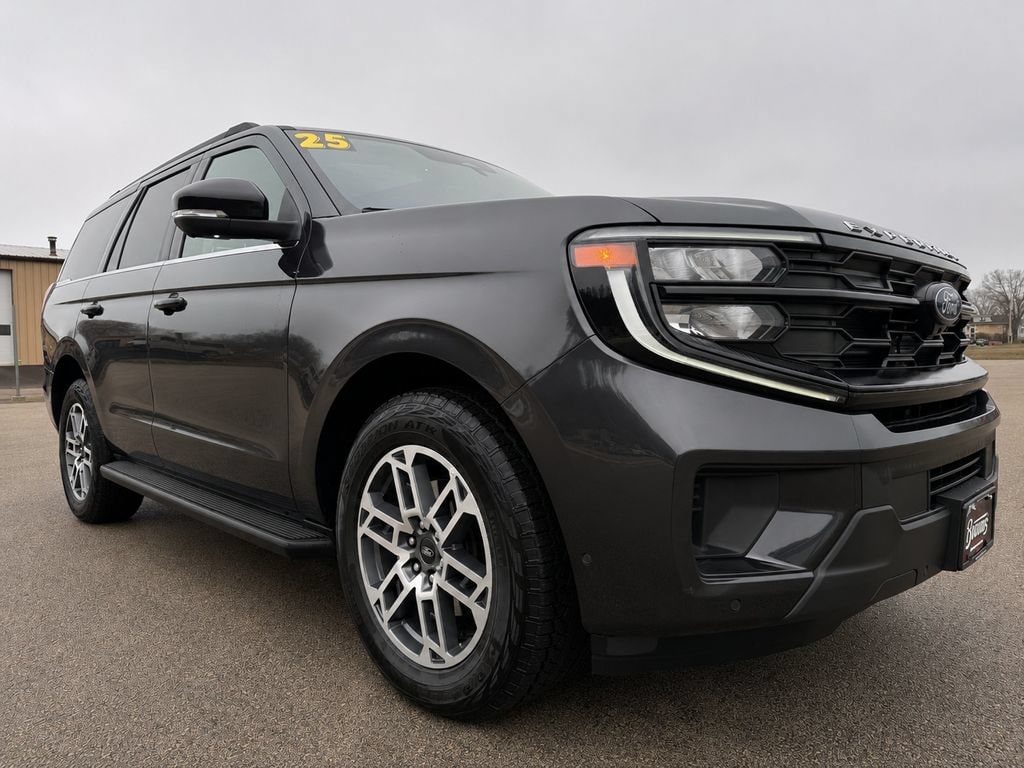 2025 Ford Expedition Active - Photo 3