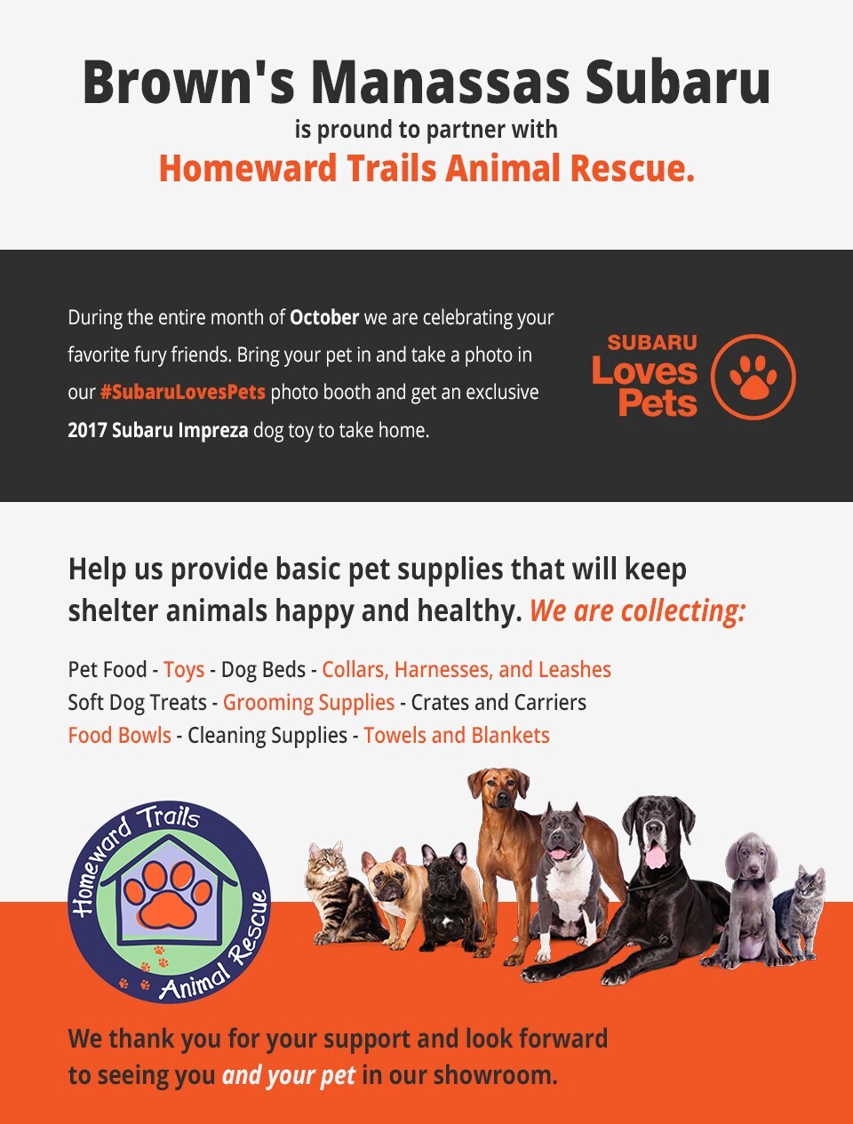 safe and sound pet rescue