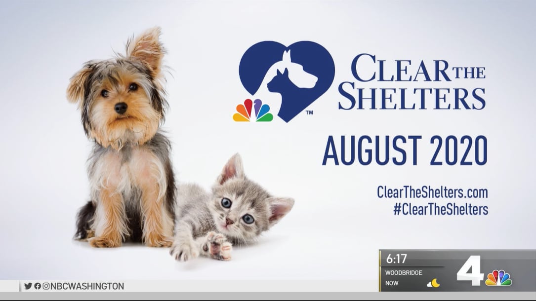 Brown's Manassas Subaru_Clear The Shelters.png