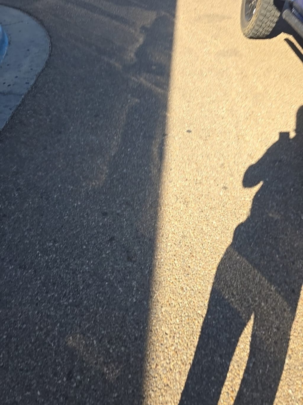 Used 2023 Jeep Gladiator Willys Truck