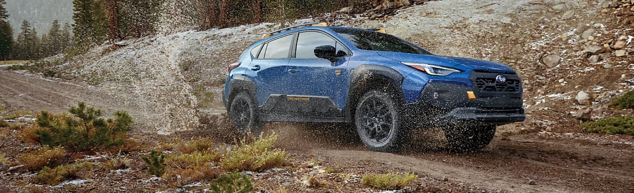 What%20Technology%20Comes%20Standard%20on%20the%20Crosstrek%3F.jpg