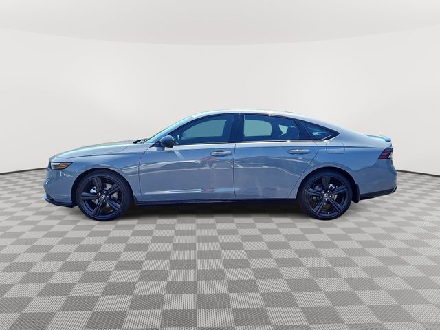 2026 Honda Accord Hybrid Sport-L - Photo 8